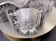 D150 STL Dental Metal 3D Printer Machine For Ceramic Denture Printing